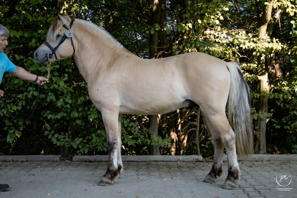 Bo Kaiser