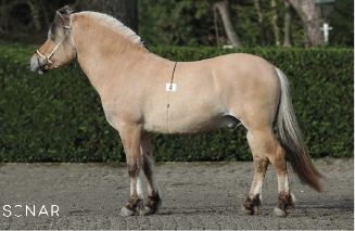 Winner Van Den Hoflander (BEL)